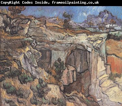 Vincent Van Gogh Entrance to a Quarry near Saint-Remy (nn04)
